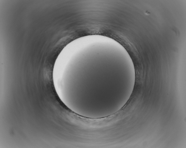 X0000111640035200908281207