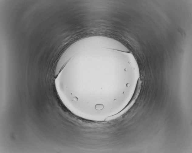 X0000111640036200908281207