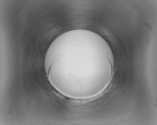 X0000111640037200908281207