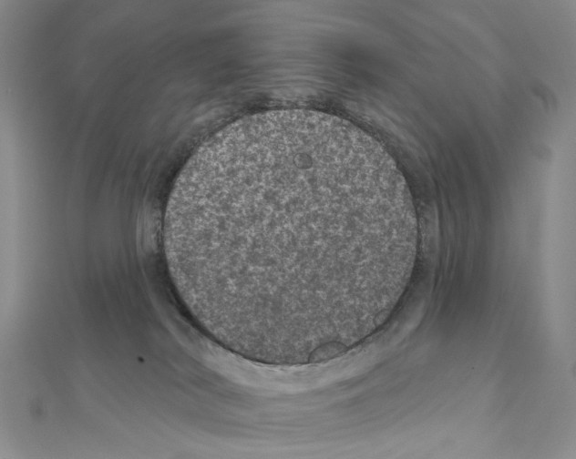 X0000111640038200908281207