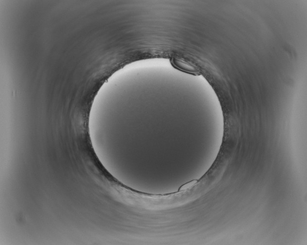 X0000111640039200908281207