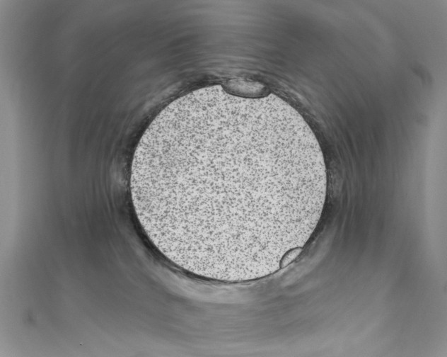 X0000111640040200908281207