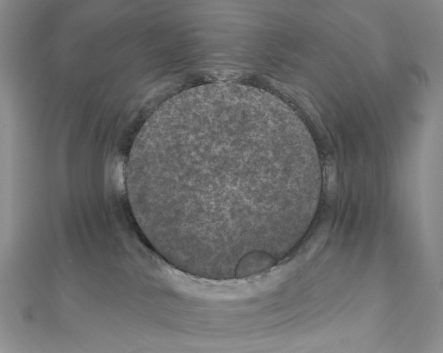 X0000111640042200908281207