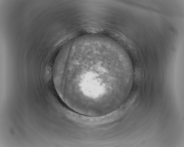 X0000111640043200908281207