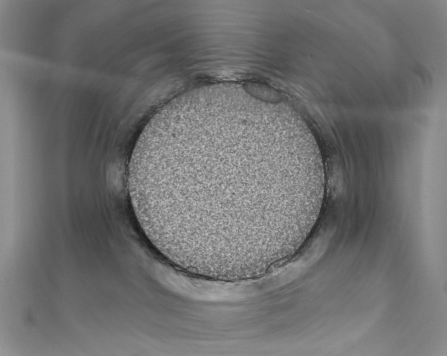 X0000111640044200908281207