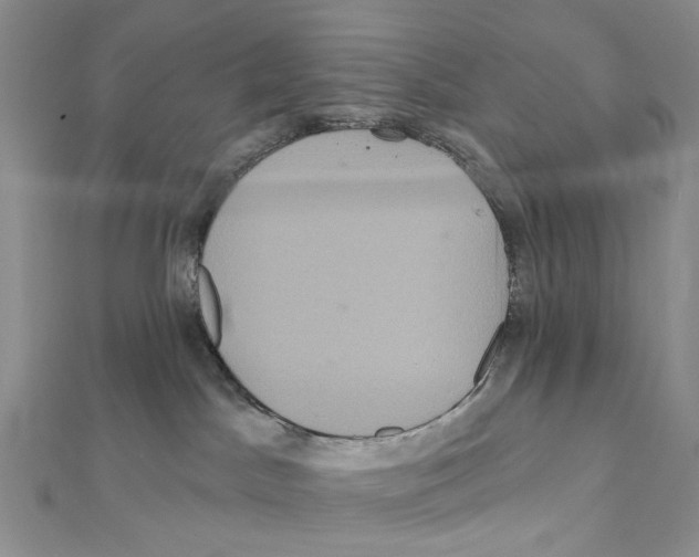 X0000111640045200908281207