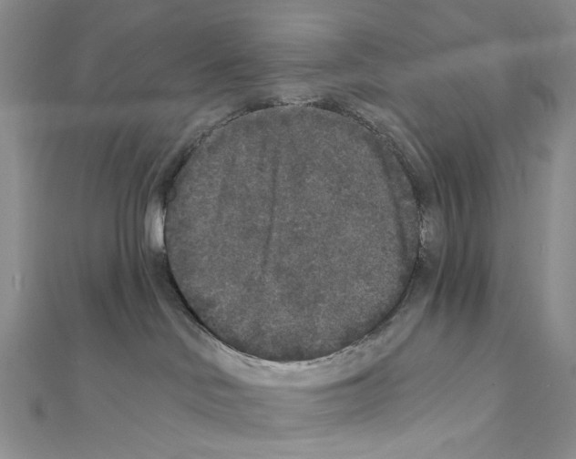 X0000111640046200908281206