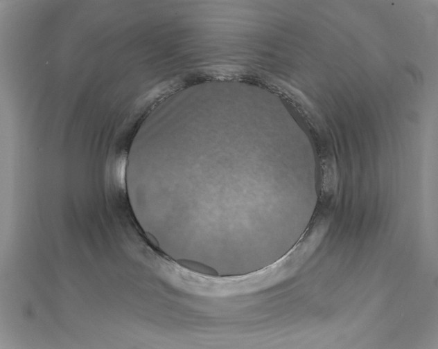 X0000111640047200908281206