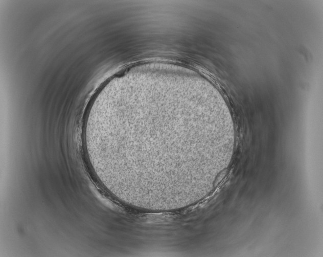 X0000111640050200908281206