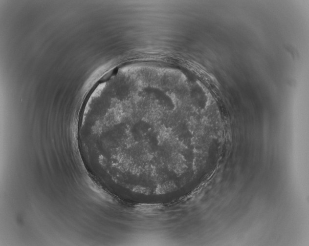 X0000111640051200908281206