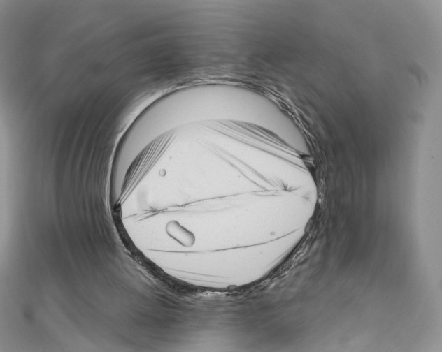 X0000111640052200908281206