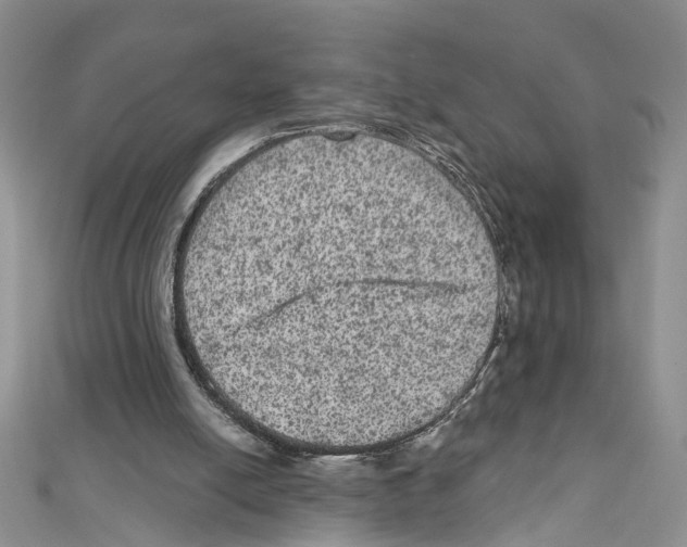X0000111640054200908281206