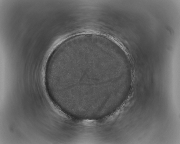X0000111640055200908281206