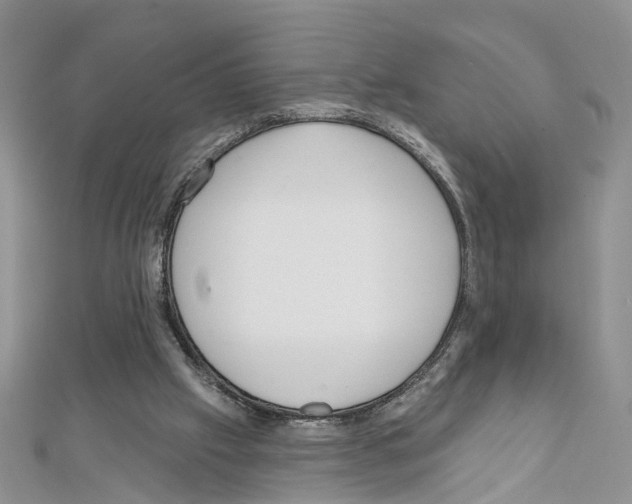 X0000111640057200908281206