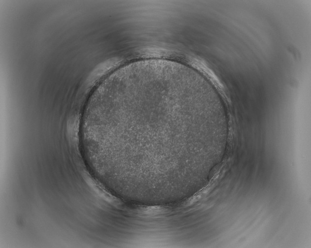 X0000111640058200908281206