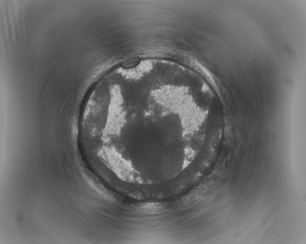 X0000111640059200908281206