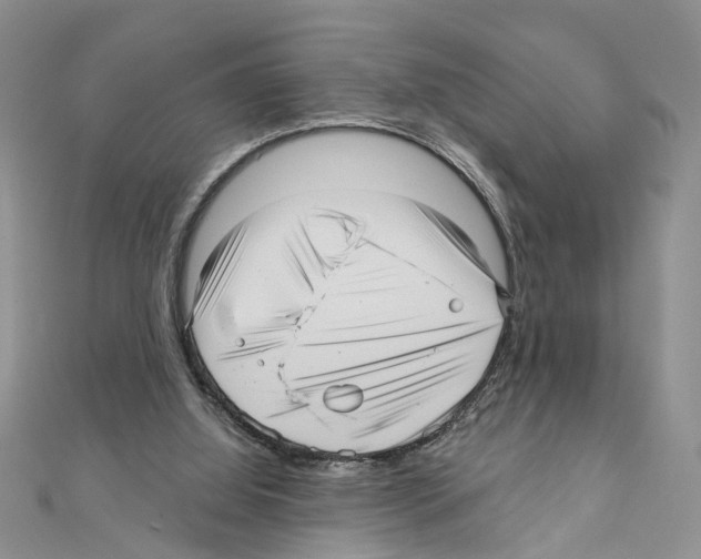 X0000111640060200908281206