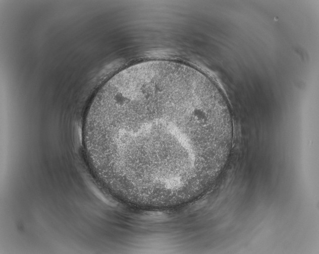 X0000111640061200908281206
