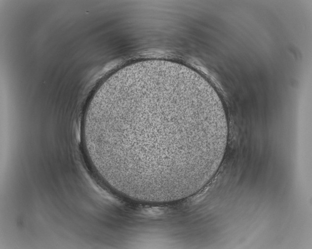 X0000111640062200908281206