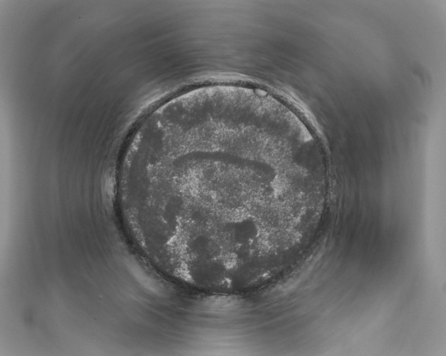 X0000111640063200908281206