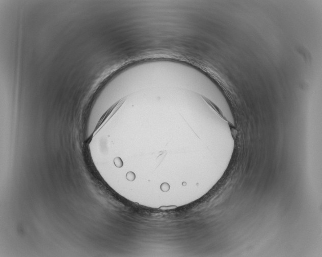 X0000111640064200908281206