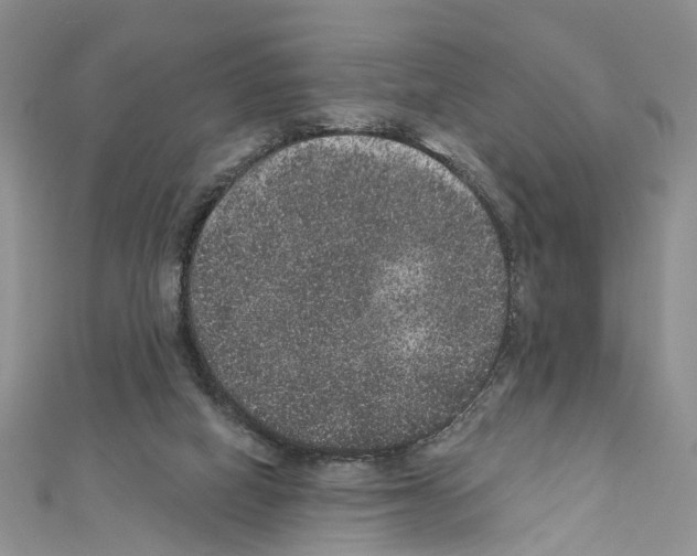 X0000111640066200908281206