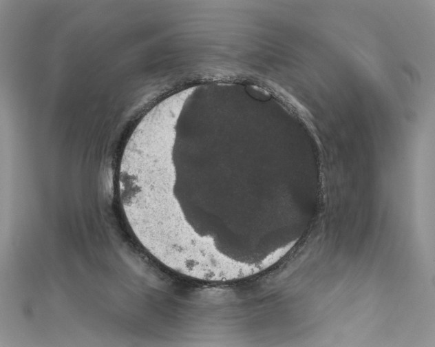 X0000111640067200908281206