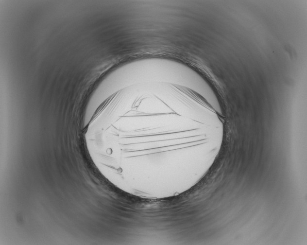 X0000111640068200908281206