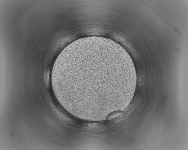X0000111640070200908281206