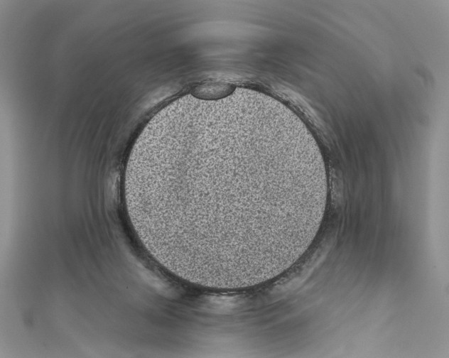 X0000111640071200908281206