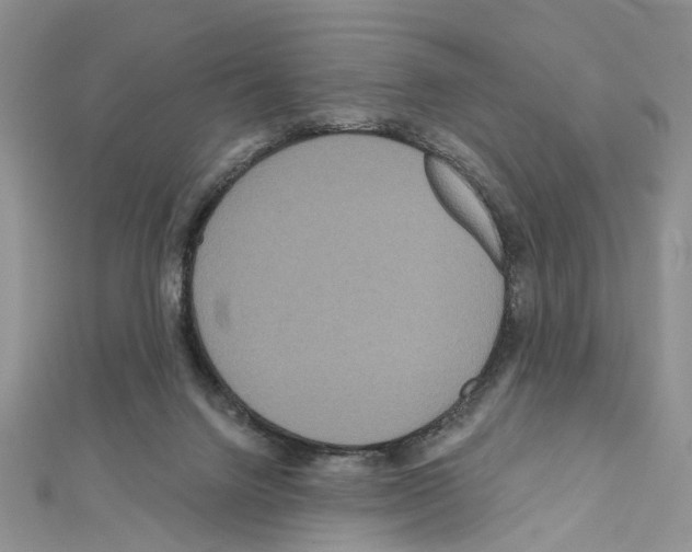 X0000111640072200908281206
