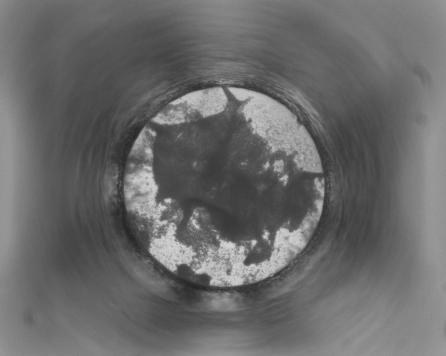 X0000111640073200908281206