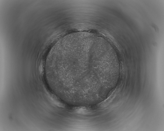 X0000111640074200908281206