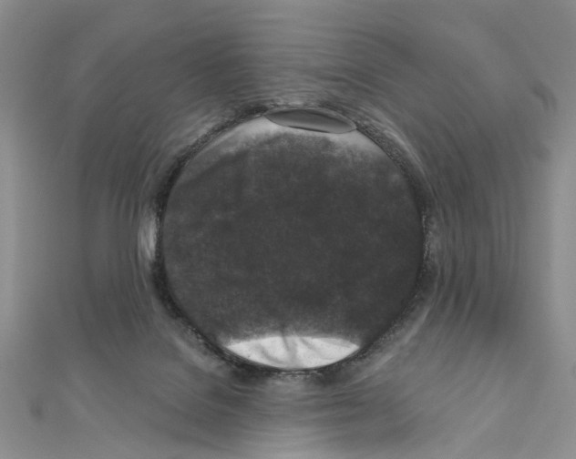 X0000111640076200908281206