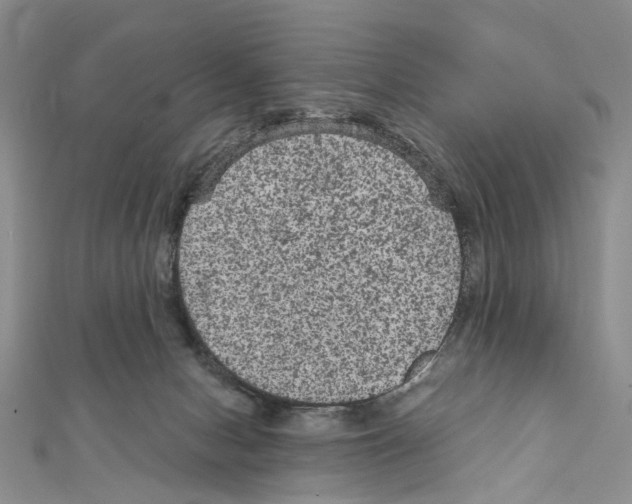 X0000111640078200908281206