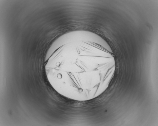 X0000111640080200908281206
