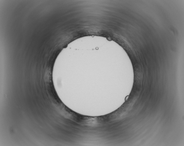 X0000111640083200908281206