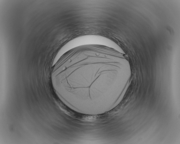 X0000111640084200908281206