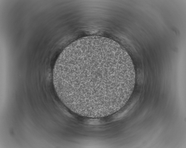 X0000111640085200908281206