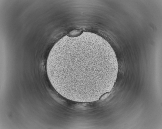 X0000111640086200908281206