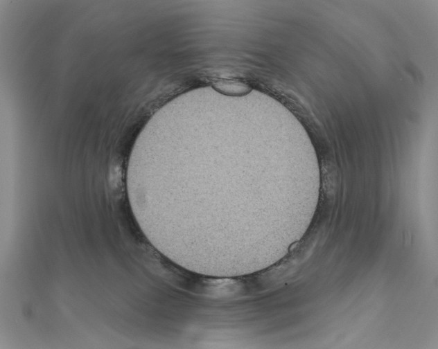X0000111640087200908281206