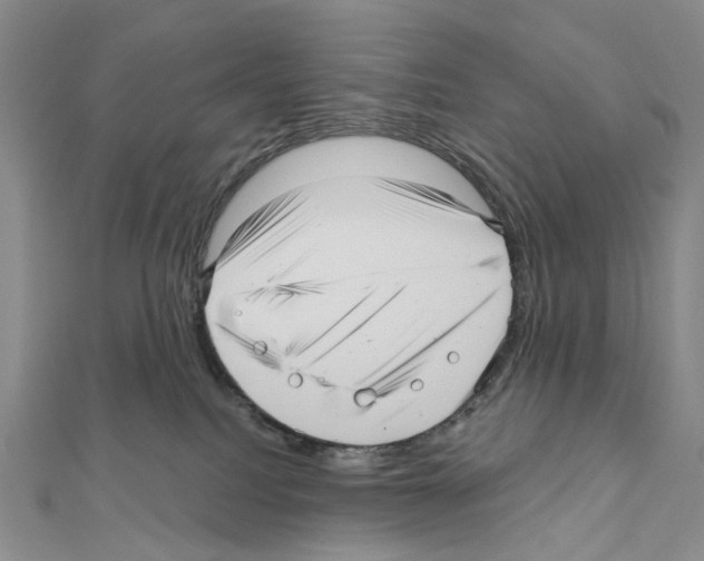 X0000111640088200908281206