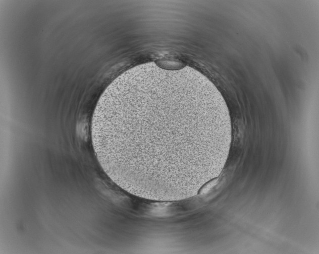 X0000111640090200908281206
