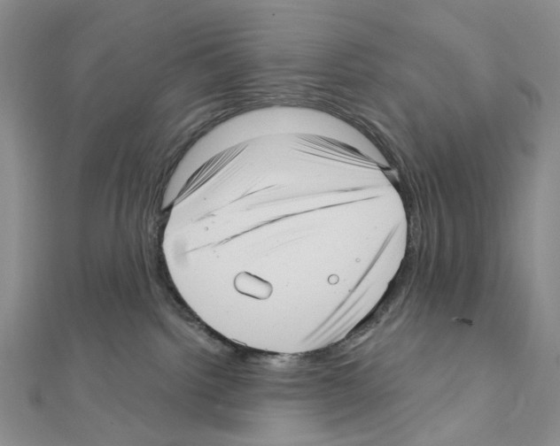 X0000111640092200908281206