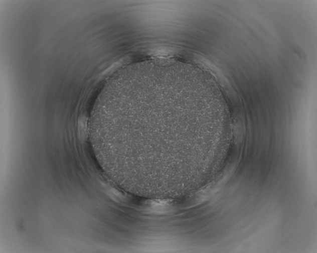 X0000111640093200908281206