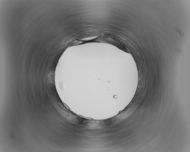 X0000111640096200908281206