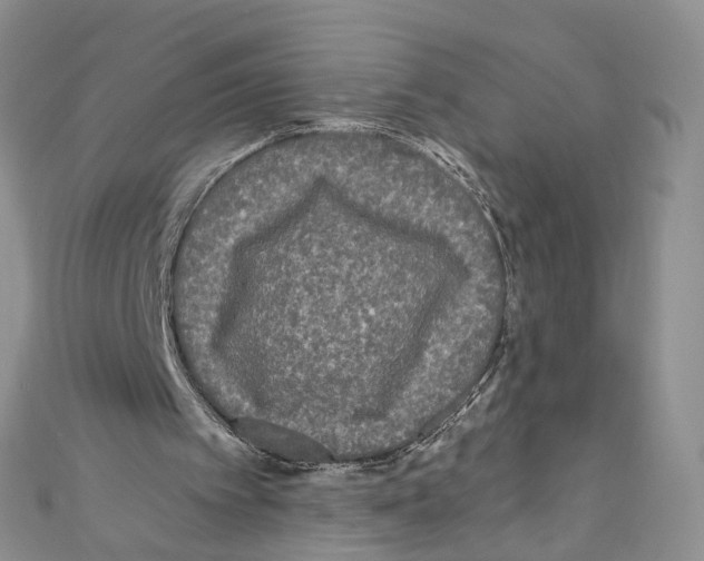 X0000111640097200908281206