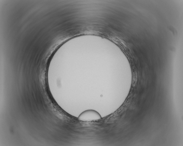 X0000111640098200908281206