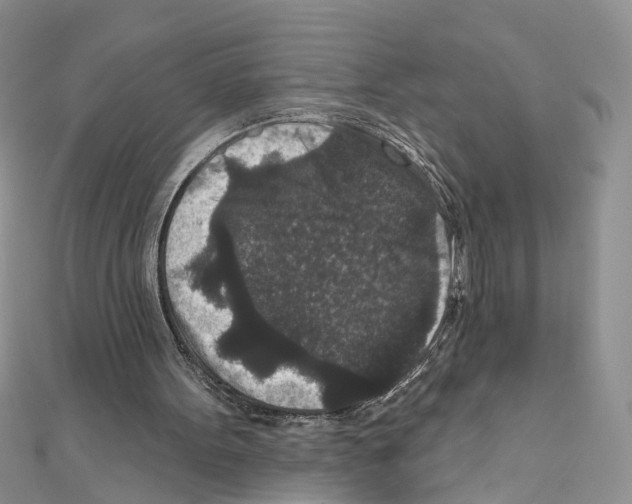 X0000111640099200908281206