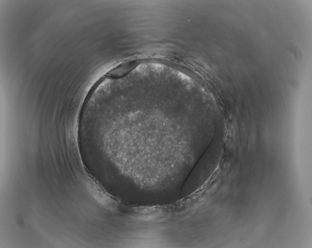 X0000111640100200908281206